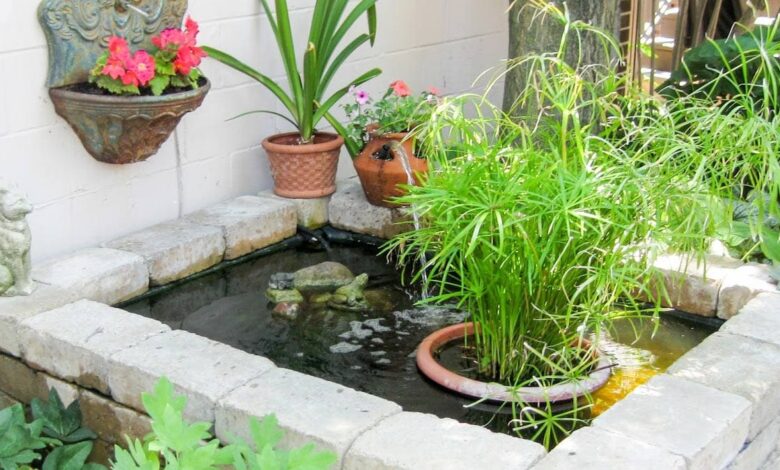Kolam Ikan untuk Balita Tak Harus Berisiko, Pilihan Cantik Ini Tetap Aman di Rumah