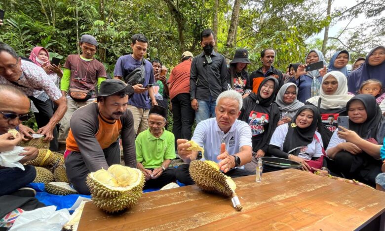 Rahasia Petani Wonosobo Rawat Pohon Durian, Panen 2 Kali Setahun Bukan Kebetulan