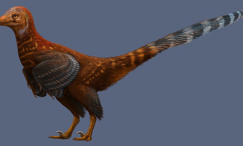 Dinosaurus Berbulu Baru dari China Pecahkan Misteri Asal-Usul Burung Modern
