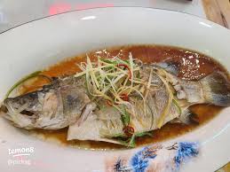 7 Ikan Incaran Rumah Makan, dari Lele Murah sampai Kerapu yang Untungnya Besar