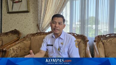 228 Ribu Calon Murid Lolos SPMB Jateng, Daftar Ulang Ditutup 25 Juni!