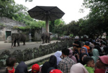 Jakarta Gratis Hari Ini, Ragunan, Ancol, Monas, dan Museum yang Bisa Didatangi Tanpa Tiket