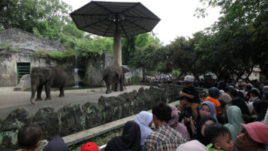 Jakarta Gratis Hari Ini, Ragunan, Ancol, Monas, dan Museum yang Bisa Didatangi Tanpa Tiket
