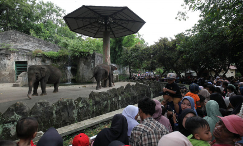 Jakarta Gratis Hari Ini, Ragunan, Ancol, Monas, dan Museum yang Bisa Didatangi Tanpa Tiket