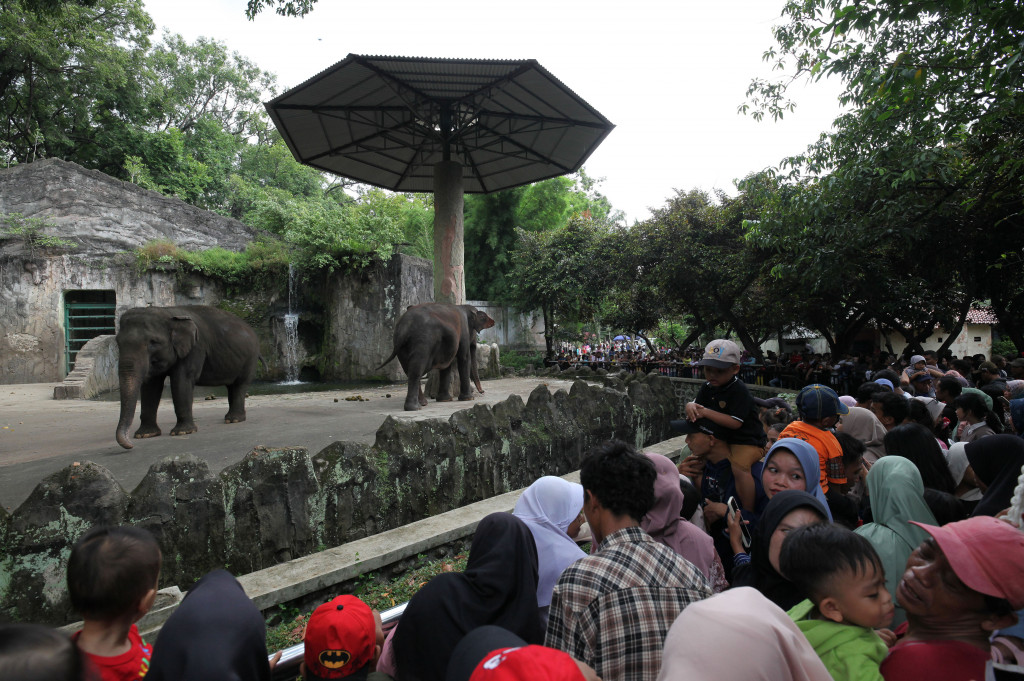 Jakarta Gratis Hari Ini, Ragunan, Ancol, Monas, dan Museum yang Bisa Didatangi Tanpa Tiket