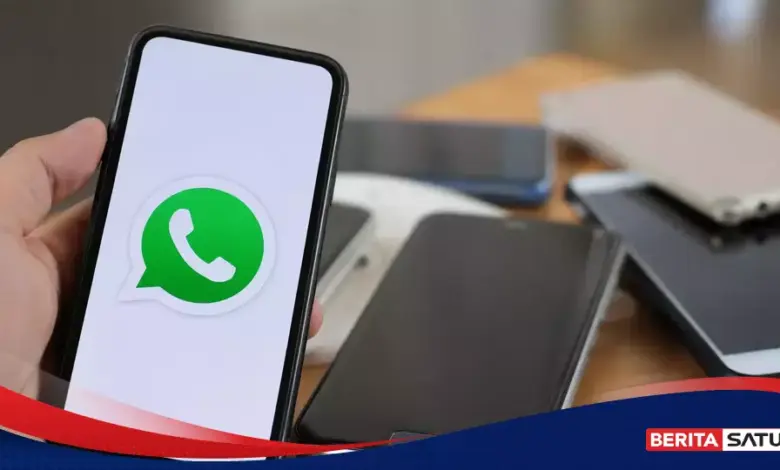 WhatsApp Plus Tiba di Indonesia, Segini Harga dan Fitur yang Ditawarkan Pelanggan