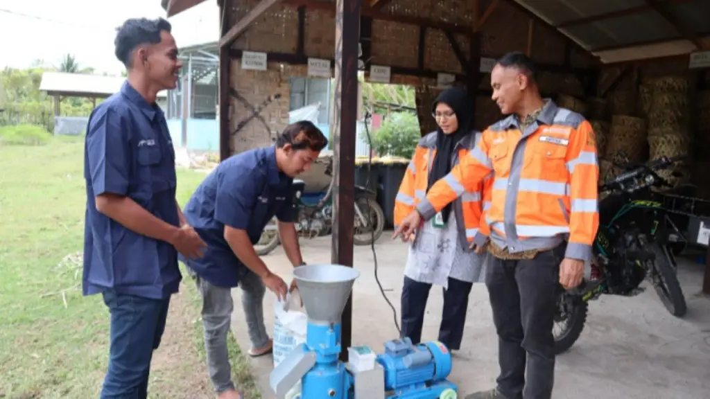 Limbah Kelapa Pantai Lampuuk Disulap Jadi Pakan Ternak, Biaya Peternak Aceh Turun 60 Persen
