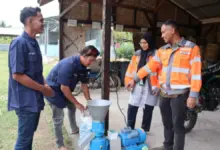 Limbah Kelapa Pantai Lampuuk Disulap Jadi Pakan Ternak, Biaya Peternak Aceh Turun 60 Persen