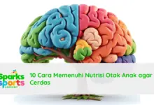 5 Kebiasaan Sederhana Ini Jadi Rahasia Otak Cerdas Orang Jepang, Mudah Ditiru Sehari-Hari