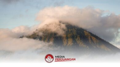 BMKG Keluarkan Peringatan Dini Cuaca Ekstrem Jatim Hari Ini, Ancaman Hujan Dan Angin Kencang Menguat