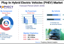 Rapor PHEV Mei 2026 Berubah Arah, Merek China Tinggalkan Jepang dan Eropa Jauh di Belakang
