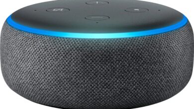 Alexa Tiba-Tiba Keluarkan Suara Mencekam Saat Menghitung, Satu Keluarga Langsung Mencabutnya