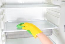 7 Alasan Kulkas Cepat Bau Tanpa Disadari, Banyak Yang Ternyata Bukan Karena Makanan Busuk