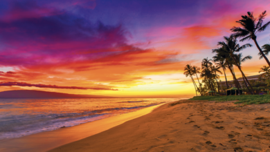 7 Prompt Gemini AI untuk Bawa Suasana Liburan Maui, Hasilnya Terlihat Natural