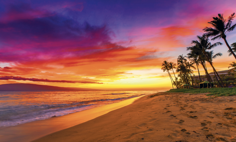 7 Prompt Gemini AI untuk Bawa Suasana Liburan Maui, Hasilnya Terlihat Natural