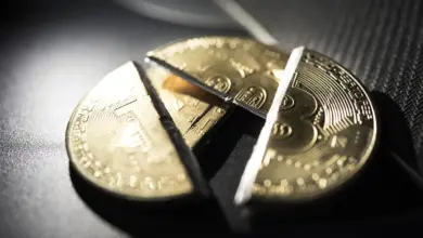 Crypto Terjun Setengah Nilai, Triliunan Dolar Lenyap dalam 261 Hari