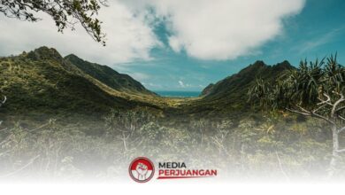 BMKG Pastikan Jawa Tengah Cerah Berawan Seharian, Tanpa Peringatan Dini Cuaca Ekstrem