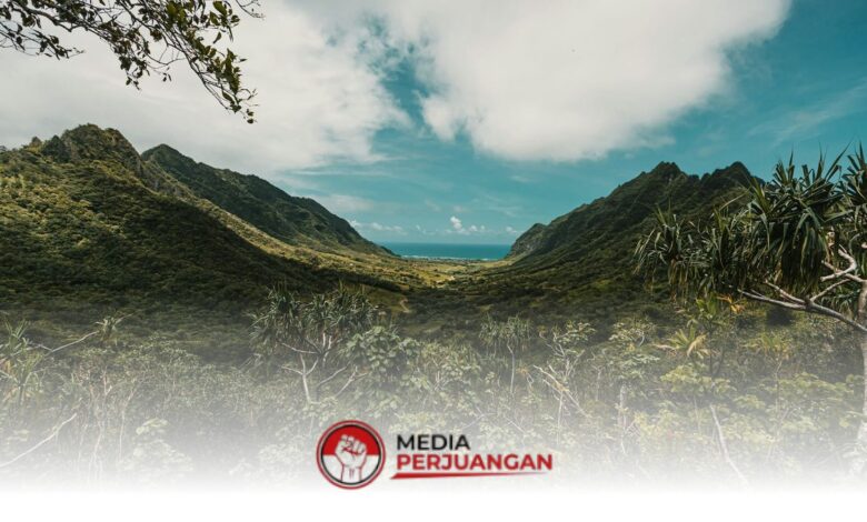 BMKG Pastikan Jawa Tengah Cerah Berawan Seharian, Tanpa Peringatan Dini Cuaca Ekstrem