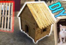 Peti Kayu Bekas Bisa Jadi Rumah Kucing Gemas, 7 Desain Nyaman yang Hemat Ruang dan Biaya