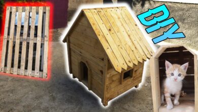 Peti Kayu Bekas Bisa Jadi Rumah Kucing Gemas, 7 Desain Nyaman yang Hemat Ruang dan Biaya