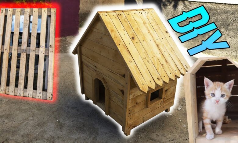 Peti Kayu Bekas Bisa Jadi Rumah Kucing Gemas, 7 Desain Nyaman yang Hemat Ruang dan Biaya