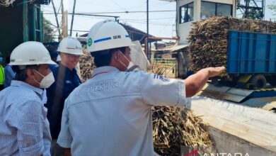 SGN Catat Lonjakan Giling PG Assembagoes Tembus 5.500 TCD, Sinyal Baru untuk Swasembada Gula