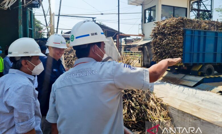 SGN Catat Lonjakan Giling PG Assembagoes Tembus 5.500 TCD, Sinyal Baru untuk Swasembada Gula