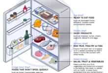 7 Makanan yang Paling Cepat Basi, Ini Cara Simpan yang Benar Agar Tidak Terbuang