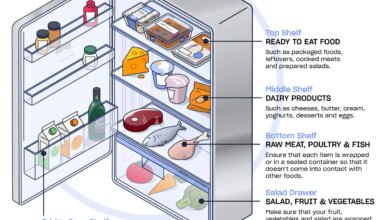 7 Makanan yang Paling Cepat Basi, Ini Cara Simpan yang Benar Agar Tidak Terbuang