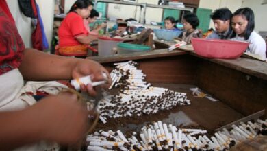 Kemnaker Ingatkan Efek Domino Cukai Tembakau Naik, Bayang-Bayang PHK di IHT Menguat