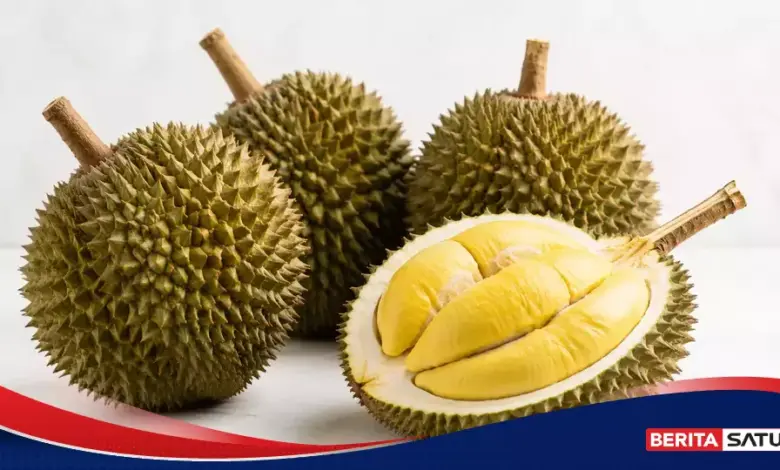 Dari Hutan Kalimantan ke Piring Anda, Asal Durian dan Manfaatnya Bagi Tubuh