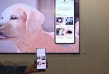 Samsung Mau Bantu Pantau Kesehatan Anabul Cukup Lewat Foto, Tanpa Perangkat Tambahan