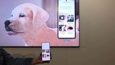 Samsung Mau Bantu Pantau Kesehatan Anabul Cukup Lewat Foto, Tanpa Perangkat Tambahan