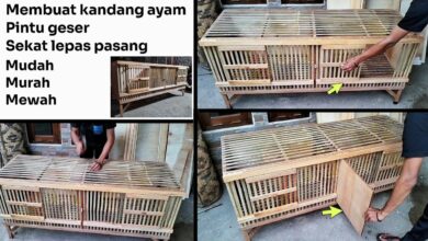 7 Desain Kandang Ayam Pintu Geser, Solusi Cerdas saat Lahan Sempit Terasa Makin Sesak