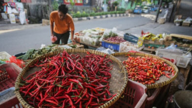 Harga Sembako Jawa Timur Pekan Terakhir Juni 2026, Beras, Cabai, Dan Minyak Jadi Patokan Dompet Warga