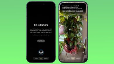 iOS 27 Ubah Kamera iPhone Jadi Asisten Visual, Siri Kini Bisa Langsung Menjawab yang Anda Lihat