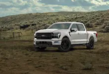 Ford Uji F-150 Platinum Pakai Beruang 363 Kg, Atraktif tapi Celah Pencurian Modern Tetap Mengintai