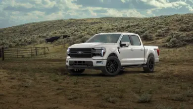 Ford Uji F-150 Platinum Pakai Beruang 363 Kg, Atraktif tapi Celah Pencurian Modern Tetap Mengintai