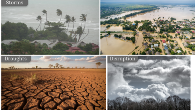 El Nino vs La Nina, Dua Kutub Cuaca yang Bisa Bikin Indonesia Kering atau Kebanjiran