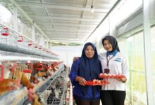 Penghargaan Most Trusted Companies Jadi Ujian Integritas, PNM Buktikan Kepatuhan GCG