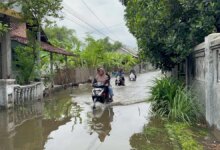 Batas Aman Motor Matic Terobos Banjir, Lewat dari Ini Mesin Bisa Kena Water Hammer