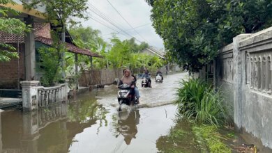 Batas Aman Motor Matic Terobos Banjir, Lewat dari Ini Mesin Bisa Kena Water Hammer