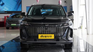 DFSK Pilih PHEV Dulu, Infrastruktur EV Indonesia Belum Bikin Mereka Yakin