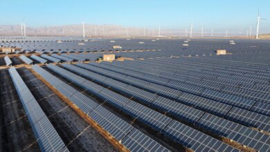 CISCE Pamer Kekuatan Energi Bersih China, Dunia Kian Bergantung pada Teknologi Murahnya