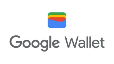 Google Wallet Naik Kelas, Lolos Checkpoint Bandara Kini Bisa Jauh Lebih Cepat