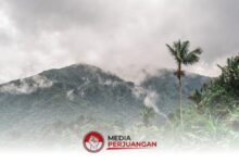 BMKG Rilis Prakiraan Cuaca Jawa Timur 29 Juni 2026, Langit Cerah Berawan Dominan Tapi Pesisir dan Pegunungan Tetap Waspada