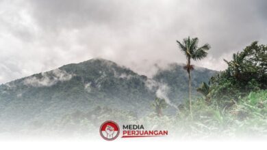 BMKG Rilis Prakiraan Cuaca Jawa Timur 29 Juni 2026, Langit Cerah Berawan Dominan Tapi Pesisir dan Pegunungan Tetap Waspada