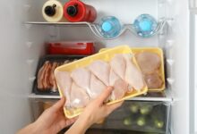 Ayam Sudah Masuk Kulkas Tapi Tetap Busuk, 4 Penyebabnya Sering Terlewat
