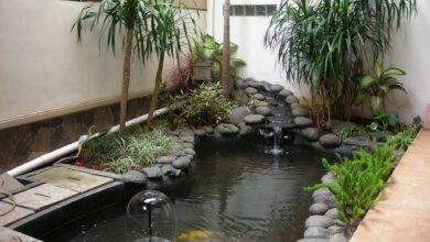 8 Inspirasi Taman Mini dan Kolam Ikan, Ubah Sudut Rumah Jadi Area Healing Ala Resor