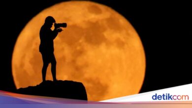 Strawberry Moon 30 Juni 2026 Muncul Pagi Hari, Ini Waktu Terbaik Melihatnya di Indonesia